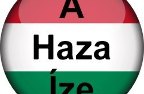 A Haza Íze - Pecsenyéző